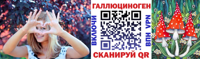 Псилоцибиновые грибы Psilocybine cubensis Обнинск